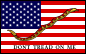 50 star American flag