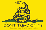 Don't Tread on Me flag